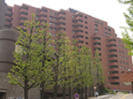 �y�A�V�e�B�E���l�b�T���X�@14�K��245�˂̉摜