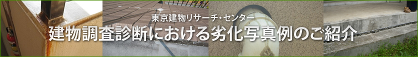 建物調査診断における劣化写真例のご紹介
