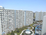 全景