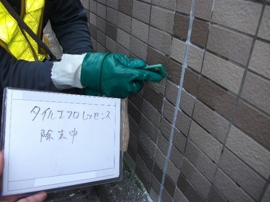 エフロレッセンスの除去