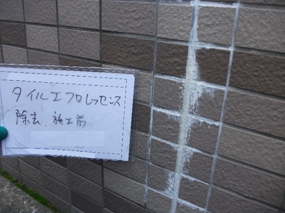 エフロレッセンスの除去